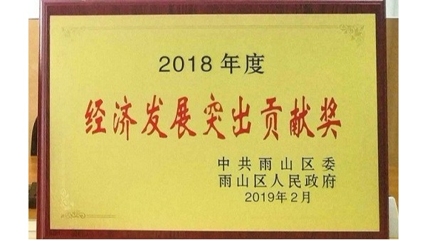 斯塔克榮獲2018年度經(jīng)濟(jì)發(fā)展突出貢獻(xiàn)獎(jiǎng)（科技進(jìn)步推動(dòng)獎(jiǎng))